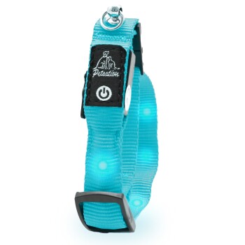 leuchtendes Katzenhalsband blau