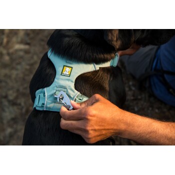 Eine Person passt ein hellblaues Ruffwear-Geschirr an einem schwarzen Hund an, wobei der Fokus auf dem Clip und dem Logo des Geschirrs liegt.