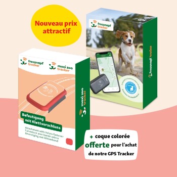 Traceur GPS pour chien rouge