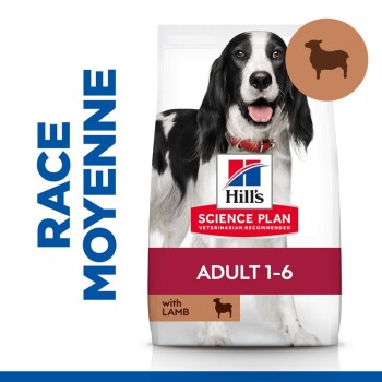 Sac de nourriture pour chiens Hill's Science Plan présentant un chien noir et blanc, étiqueté "Adult 1-6" avec "avec de l'agneau" et une recommandation vétérinaire.