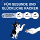 Eine verspielte schwarz-weiße Katze, die nach einem Leckerli greift, mit Text über gesunde Zutaten und ohne künstliche Farbstoffe.