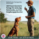 Junge in Outdoor-Kleidung trainiert einen braunen Hund mit einer Pfeife; deutscher Text über konsequenten Ton für klare Kommandos.