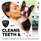 Zahnpflege-Zahnpastatube für Hunde mit einem Boston Terrier und Text „Reinigt die Zähne & erfrischt den Atem“ sowie „Tierarztstärke“-Abzeichen.