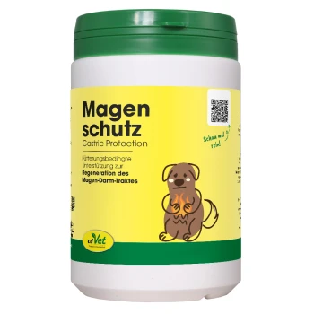 Magenschutz 400 g Behälter von cdVet Magenschutz (Magen-Schutz) mit grünem Deckel, mit einem gelben Etikett mit Text in Deutsch und Englisch.