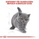 British Shorthair Kitten 2x10 kg