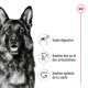 Image d'une tête de chien avec du texte mettant en avant les bienfaits pour la santé : "Santé digestive," "Soutien des os et des articulations," "Soutien optimal de la santé."
