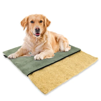 Golden Retriever liegt auf einer grünen Haustiermatte mit beiger, strukturierter Unterseite, dargestellt vor weißem Hintergrund.