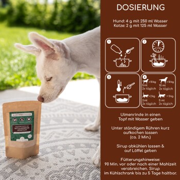 Ein neugieriger weißer Welpe schnüffelt an einem Beutel Ulmenrinde Pulver auf einem gemusterten Außenbereich, der Dosierungsanweisungen für Hunde und Katzen zeigt.