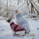 Zwei Hunde, die im Schnee sitzen, einer trägt einen roten gestrickten Pullover mit weißen Mustern und der andere einen hellblauen Pullover mit Schneeflockenmotiven.