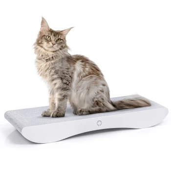 Eine flauschige Maine Coon Katze mit hellbraunem und weißem Fell sitzt auf einem modernen, geschwungenen Kratzpad mit strukturierter Oberfläche.