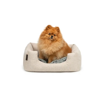 Ein flauschiger Pomeranian-Hund sitzt bequem in einem beigen Haustierbett mit einem weichen grauen Innenraum.