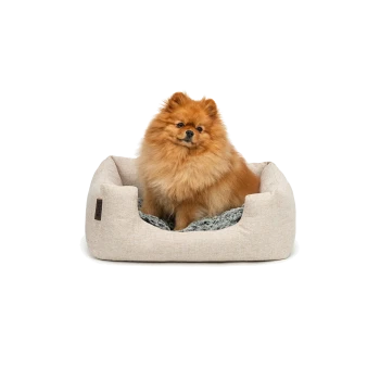 Ein flauschiger Pomeranian-Hund sitzt bequem in einem beigen Haustierbett mit einem weichen grauen Innenraum.