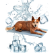 Ein brauner Hund liegt auf einer grauen Kühlmatte, umgeben von Wasserspritzern und Eiswürfeln, was auf eine erfrischende Umgebung hindeutet.