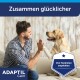Mann gibt Labrador auf der Couch ein High-Five; sichtbare Texte: 'Zusammen glücklicher', 'ADAPTIL Calm', 'Von Tierärzten empfohlen'.