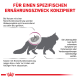 Illustration einer Katze mit einem Nierendiagramm, mit Text über Nierenfunktionsprobleme bei Katzen, der die diätetischen Bedürfnisse und Symptome betont.