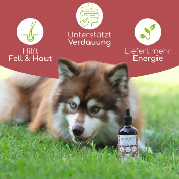Braune Glasflasche mit BIO Barf Öl mit Tropfer, beschriftet mit "OMEGA 3-6-9 Futteröl," für Hunde und Katzen aller Rassen und Altersgruppen.