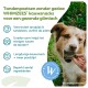 Hond neemt WHIMZEES-tandkauw met Nederlandse tekst: 'Tandenpoetsen zonder gedoe: WHIMZEES kauwsnacks voor een gezonde glimlach'