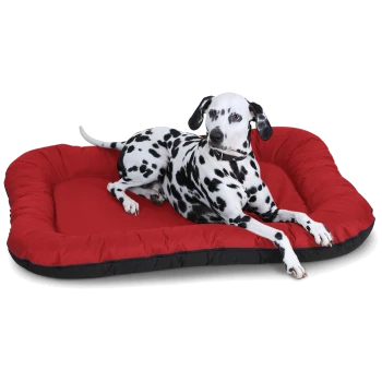 Ein schwarz-weiß gefleckter Hund, der auf einem plüschigen roten Hundebett mit schwarzem Rand entspannt und Komfort sowie Entspannung zeigt.