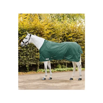 Ein weißes Pferd mit einer grünen wasserdichten Decke steht auf einem Kiesweg, umgeben von herbstlichem Laub.