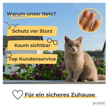 Katze auf dem Balkon hinter klarem Schutznetz; Einsatzbild mit Fingern, die das Netz berühren; deutsche Überschrift: „Warum unser Netz?“