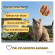 Katze auf dem Balkon hinter klarem Schutznetz; Einsatzbild mit Fingern, die das Netz berühren; deutsche Überschrift: „Warum unser Netz?“