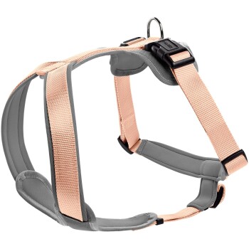 Geschirr Neopren orange/ grau M