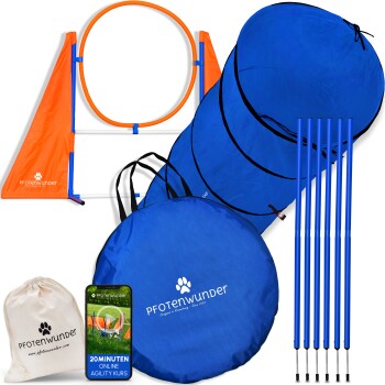 Agility-Trainingsset für Haustiere mit einem orangefarbenen Sprungring, blauen Trainingsstangen und zusammenklappbaren Tunneln, mit 'PFOTENWUNDER'-Markierung.