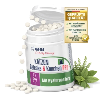 Weißes Glas mit Katzen-Gelenkpräparat, Tabletten fallen heraus; Etikett 'KATZEN Gelenke & Knochen PRO+' und 'GEPRÜFTE QUALITÄT'.