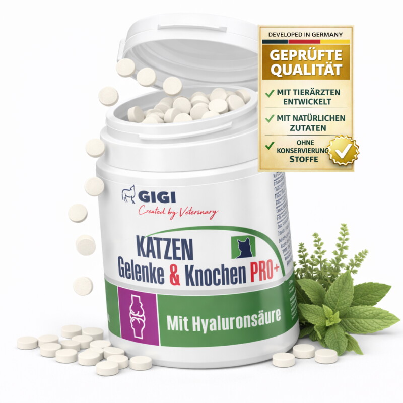 GIGI VET Katzen Gelenke & Knochen PRO+ 20 g