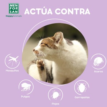 Eine Katze, die sich kratzt, umgeben von Schädling-Symbolen: Mücken, Flöhe, Läuse, Milben, Zecken und dem Text "ACTÚA CONTRA MENFOR SAN Happy Animals."