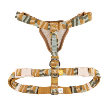 Kleines gelb-grün gemustertes, gepolstertes Hundegeschirr mit Metall-D-Ring, Kunststoffschnallen und Größentag „S“.