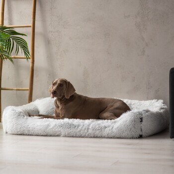 Ein plüschiges, hellgraues Haustierbett mit erhöhten Rändern und einem kleinen Kissen, vor einer neutralen Wand und Holzdekoration.