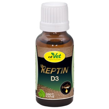 D3