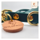 Eine Nahaufnahme eines grünen Hundehalsbands mit goldenen Beschlägen und einem runden Lederanhänger, der mit "WILDFANG" und einem Wolf-Logo graviert ist.