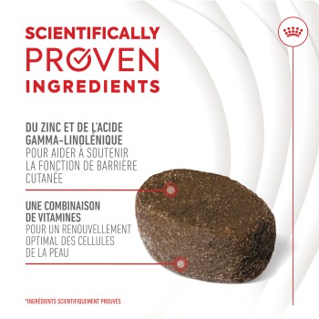 Produit alimentaire pour animaux avec des croquettes brunes. Met en avant "Ingrédients scientifiquement prouvés" pour le soutien de la peau, y compris le zinc et les vitamines.