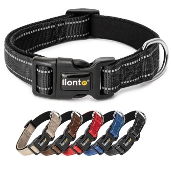 Schwarzes verstellbares Haustierhalsband mit reflektierenden Nähten und einer Kunststoffschnalle, mit dem 'liontö'-Logo.