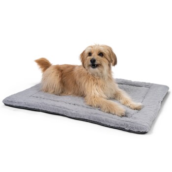 Ein flauschiger, tanfarbener Hund liegt auf einem weichen grauen Haustierbett mit einer strukturierten Oberfläche und schaut verspielt in die Kamera.
