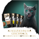 Eine graue Katze mit grünen Augen leckt sich die Lippen neben Sheba Sauce Beuteln mit Ente und dem Text über unwiderstehlichen Geschmack.