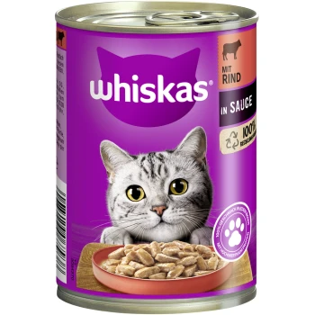 Adult 1+ Sauce 12x400g Rind Eine Dose Whiskas Katzenfutter mit einer Nahaufnahme einer grauen getigerten Katze mit großen Augen, neben einer Schüssel mit Nassfutter.