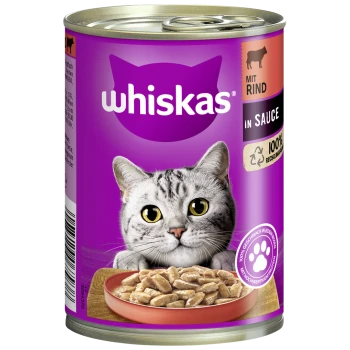 Eine Dose Whiskas Katzenfutter mit einer Nahaufnahme einer grauen getigerten Katze mit großen Augen, neben einer Schüssel mit Nassfutter.