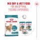 Royal Canin 11+ sterilised dry and wet cat food for senior cats over 11 years old, mix for optimal feeding experience.