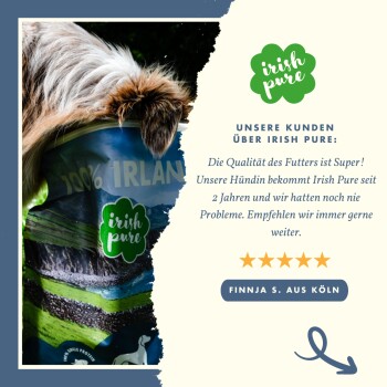 Eine Nahaufnahme des Kopfes eines Hundes in der Nähe eines Hundefutterbeutels, der mit "Irish Pure" und einem grünen Logo beschriftet ist. Der Text hebt die Kundenzufriedenheit und eine 5-Sterne-Bewertung hervor.