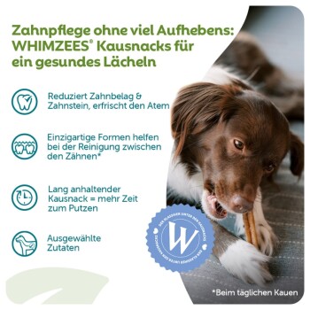 Hund kaut auf einem WHIMZEES-Zahnkausnack neben deutschem Werbetext: „Zahnpflege ohne viel Aufhebens.“