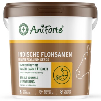 Indische Flohsamen 3kg