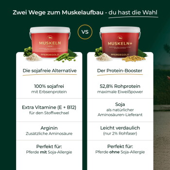 Zwei rote PFERDEGOLD‑Eimer mit den Bezeichnungen MUSKELN und MUSKELN+ und Vergleichstabelle: „100% sojafrei“ (Erbsenprotein) vs. „52,8% Rohprotein“