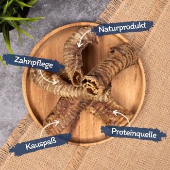 Getrocknete Haustierkausnacks auf einem Holztablett angeordnet, beschriftet mit den Texten: "Naturprodukt", "Zahnpflege", "Kauspaß" und "Proteinquelle."