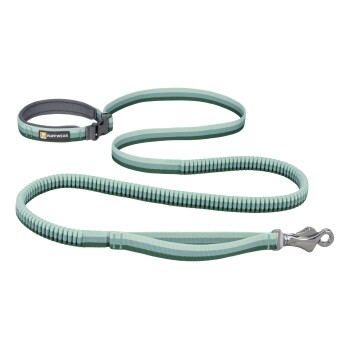 Bungee Joggingleine Roamer™ helles seegrün M