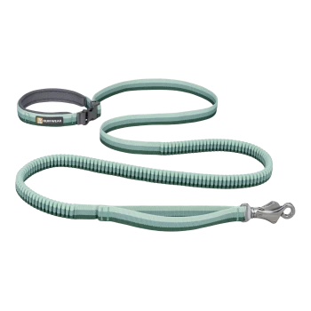 Ein grün-grau gestreiftes Hundeleinen- und Halsbandset von Ruffwear, mit einem gepolsterten Griff und einem stabilen Metallclip.