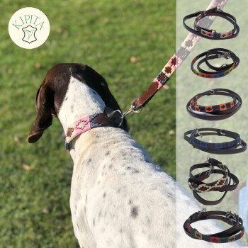 Ein gescheckter Hund mit einem bunten Halsband steht auf Gras, mit abgebildeten Halsbanddesigns auf der rechten Seite und dem KIPITA-Logo oben links.