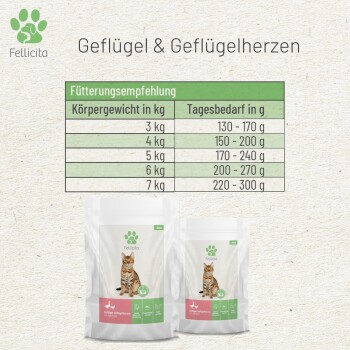 Die Verpackung von Fellicita Haustierfutter zeigt eine Katze und eine Fütterungstabelle für den täglichen Nahrungsbedarf basierend auf dem Gewicht der Katze (3-7 kg).